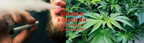 дурь Аркадак