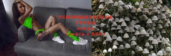 трава Баксан
